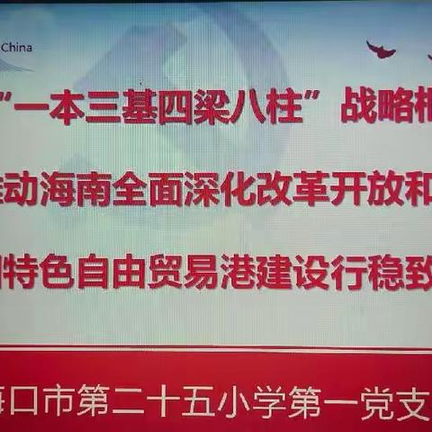 锚定“一本三基四梁八柱”战略框架————海口市第二十五小学第一支部党员学习专题活动（副本）