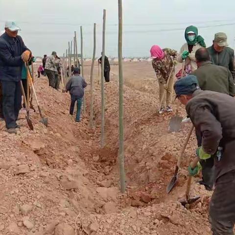 三趟墩村义务植树美荒坡