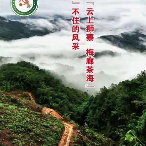 2023年庆祝苍梧县行政区划调整十周年系列活动-狮寨镇庆“七一”建党节暨云上狮寨-梅廊茶海第六届夏季篮球联赛