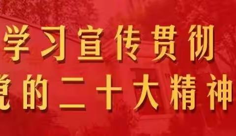 学习二十大，奋进新征程——民联镇龙山小学红领巾宣讲团宣讲活动