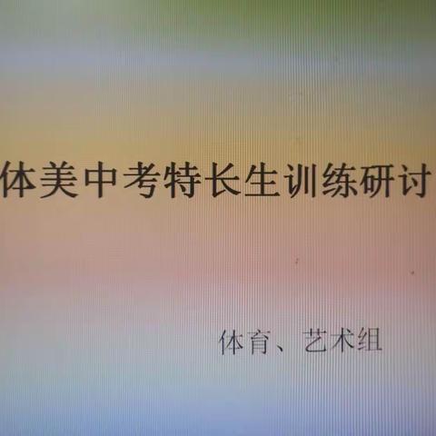 灵武三中音体美中考特长训练研讨会