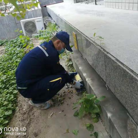 六北社区大扫除清洁家园灭鼠蟑共建文明小区，共享文明成果--六北社区