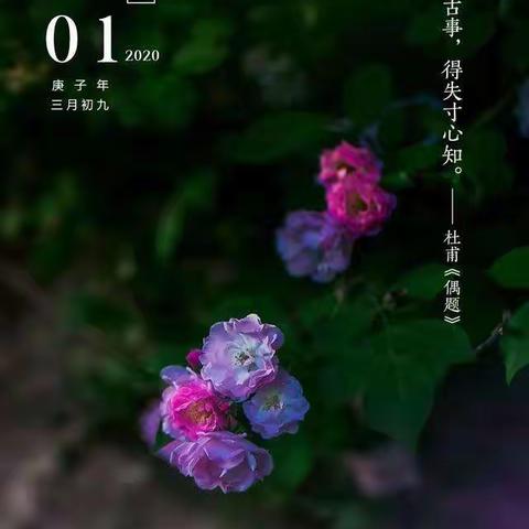 4月1日小结
