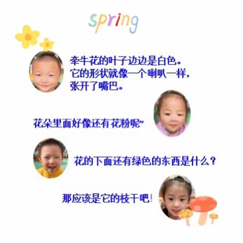 “花花世界”课程故事——淮安爱迪尔幼儿园苗苗四班