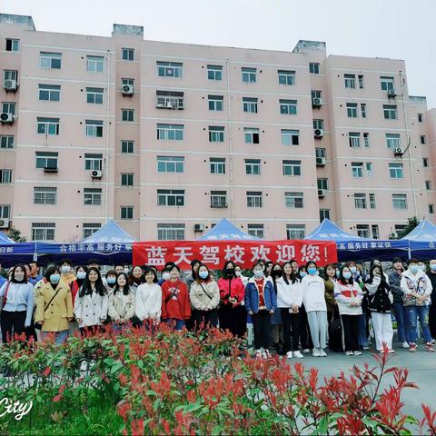 【蓝天驾校】恰逢龙抬头，喜迎学车旅！