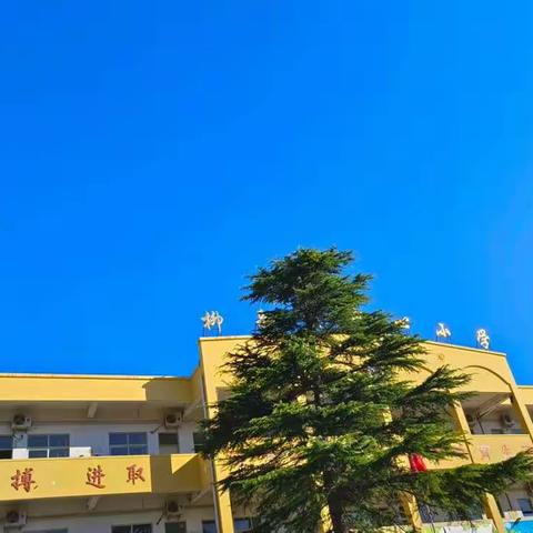 不忘初心  砥砺前行——柳泉镇中心小学教导处九月份工作纪实