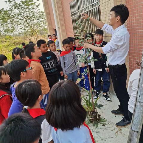 【西南镇黄塘小学】2023年第二期黄塘小学植树节活动简报