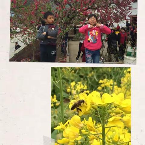 乐昌九峰山赏花