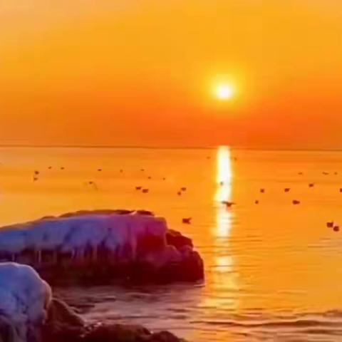 《艾青诗选》朗诵——松阳三中905班暑假阅读展（二）