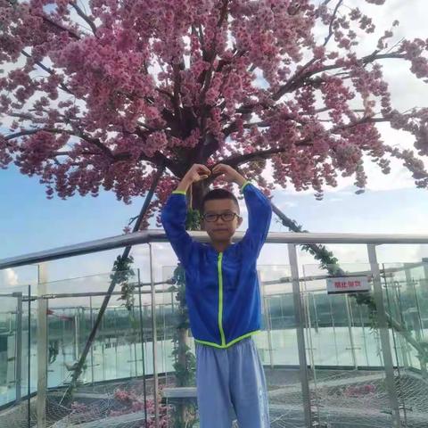 我是劳动小能手