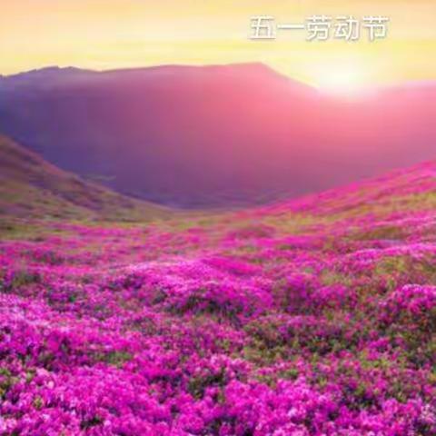 五一快乐假期 💪