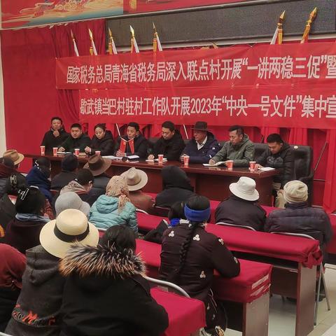 当巴村开展“一讲两稳三促”暨“中央一号文件”宣讲活动