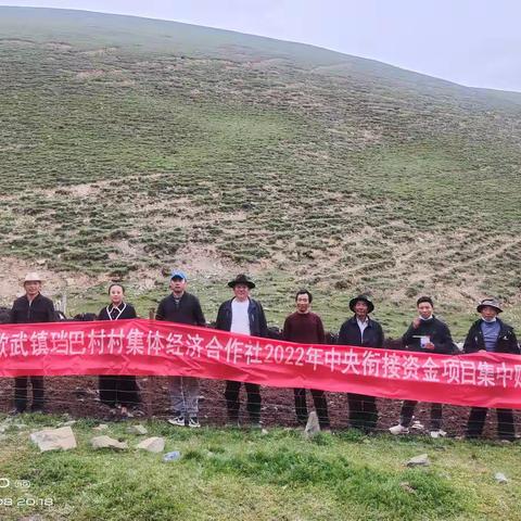 全力完成购畜项目 助推乡村产业振兴