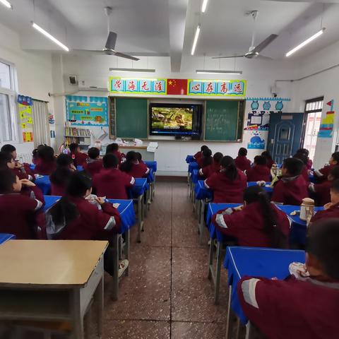 《狮子王》--三三班观影记