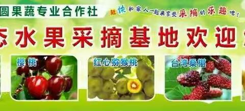 最后7天，大篮100元/篮，入园可以放肆吃，这么爽，还不快来！