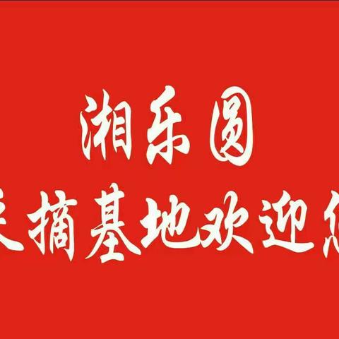 蓝莓果酱的做法，湘乐圆告诉你怎么做蓝莓酱！