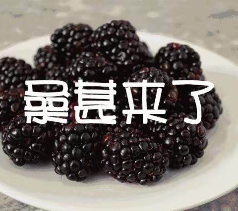 醉美五月天 采桑湘乐圆
