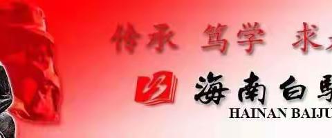 童心飞扬，粽香传情——海南白驹学校五年级组“庆六一，迎端午”活动纪实