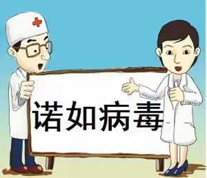 “诺如病毒”防控提示