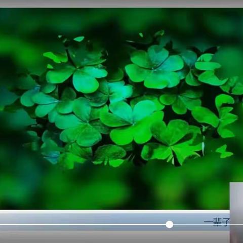 飞天幼儿园大（六）班不输在家庭教育上之《家长应如何关注孩子的心理健康》