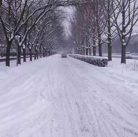 等你，在这雪色浪漫的明天。