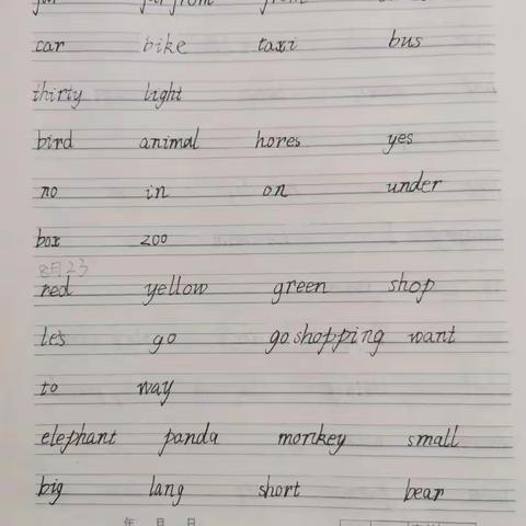 安梓畅8月22-28日英语作业