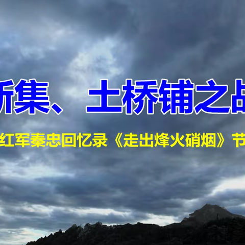 1. 新集、土桥铺之战   —  《走出烽火硝烟》节选