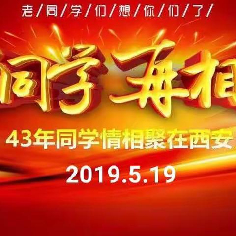 43年同学情  相聚在西安——2019年《欢乐同学行抱团旅游》活动花絮