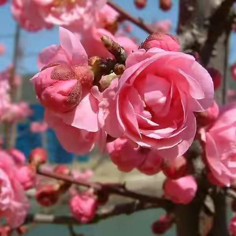 春分