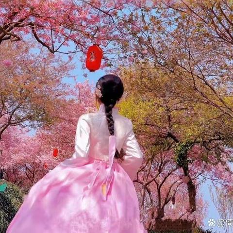 点绛唇    惜春