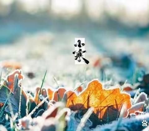 小寒有礼——送你一张数字卡片