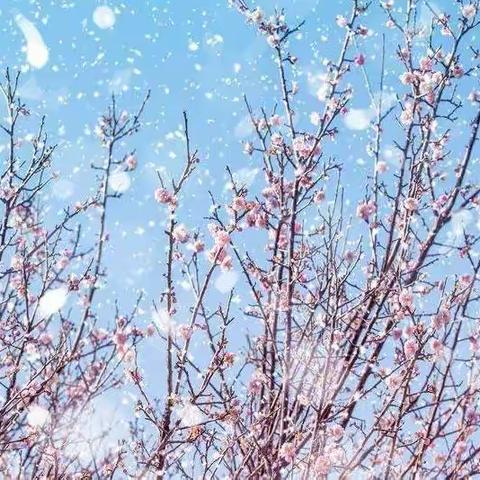 爱拼才会赢