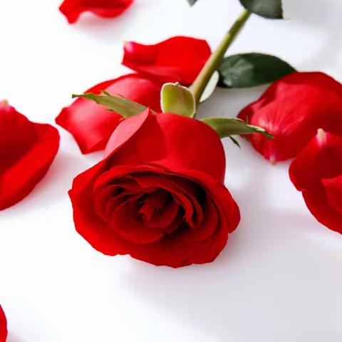 党员的青春与责任