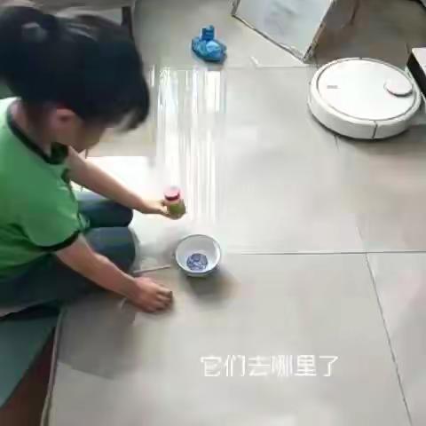 宅在家，不出门学科学——