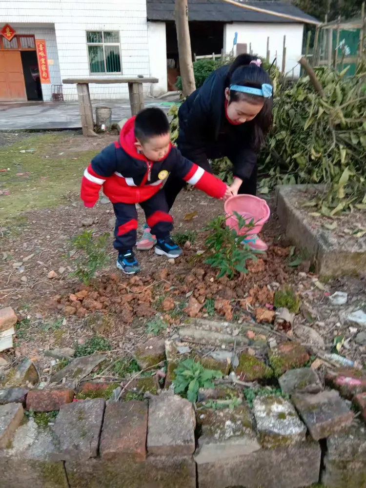 拥抱春天,播种希望一一金沙路小学开展植树节活动