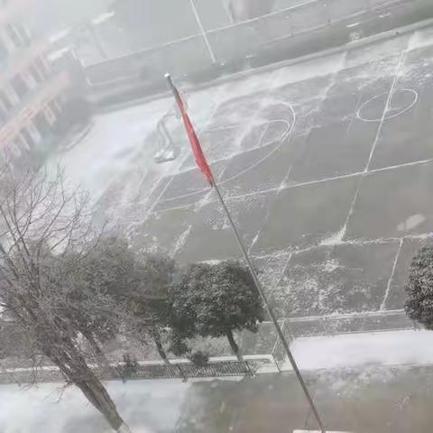 扫雪除冰，情暖校园丨镇南乡中心小学积极开展扫除校园积雪行动