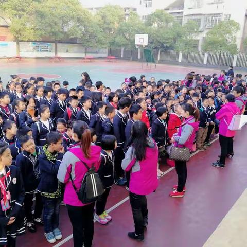 向阳外国语实验小学第一次课外实践活动掠影