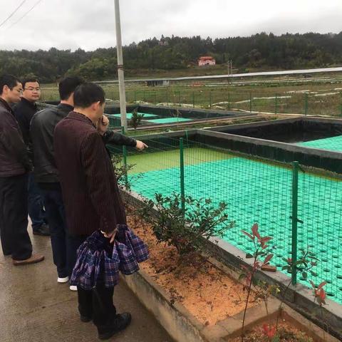 苏迎平县长对迎接中央第二轮环保督察提出具体要求