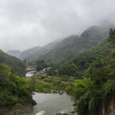 雨中游莲花湖