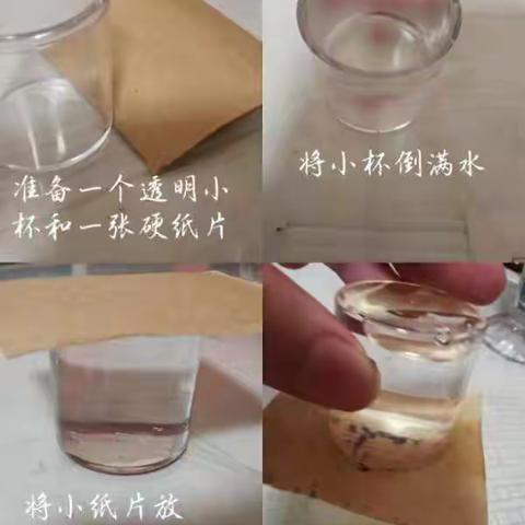 做一株会思考的芦苇—探索大气压强的奥秘