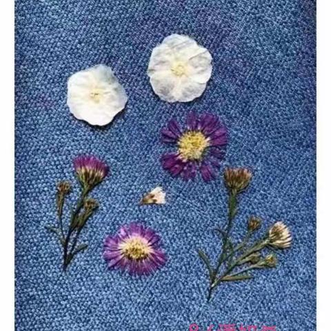 “花”点心思，“框”住夏天——手工压花相框