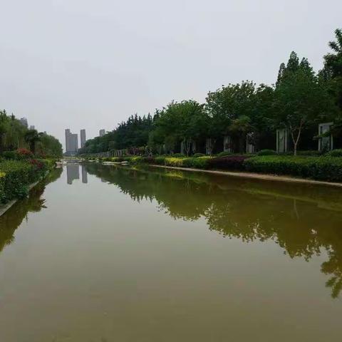 中心领导检查精细化管理工作