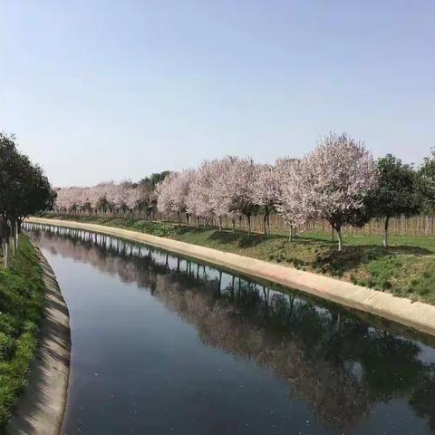 沣惠中心精细化管理周动态 第10期