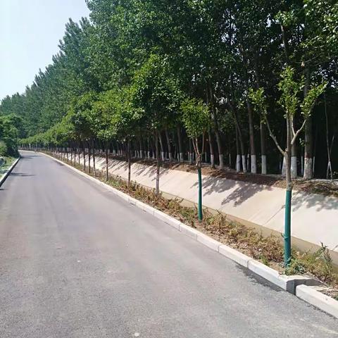 中心领导检查精细化管理工作