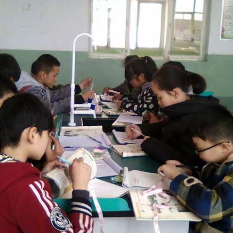 实干郊区---黄碾联校贡村小学六年级科学教师岳爱莲正在带领学生们进行实验（副本）