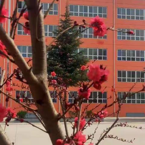 弘扬涉县教育精神，建设大美二中校园