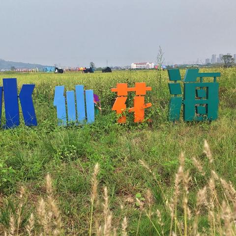 “水仙花海”之秋韵