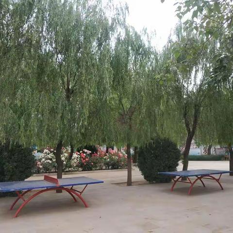听课共交流，评课促成长 ——南塔影学校教研活动美篇