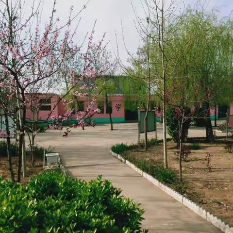 疫情防控共奋进，实地家访暖人心