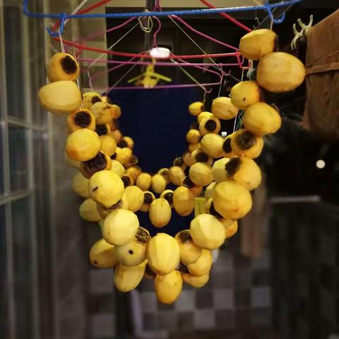 心血来潮，晒串柿饼